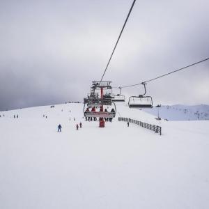 Victorian Snowfields